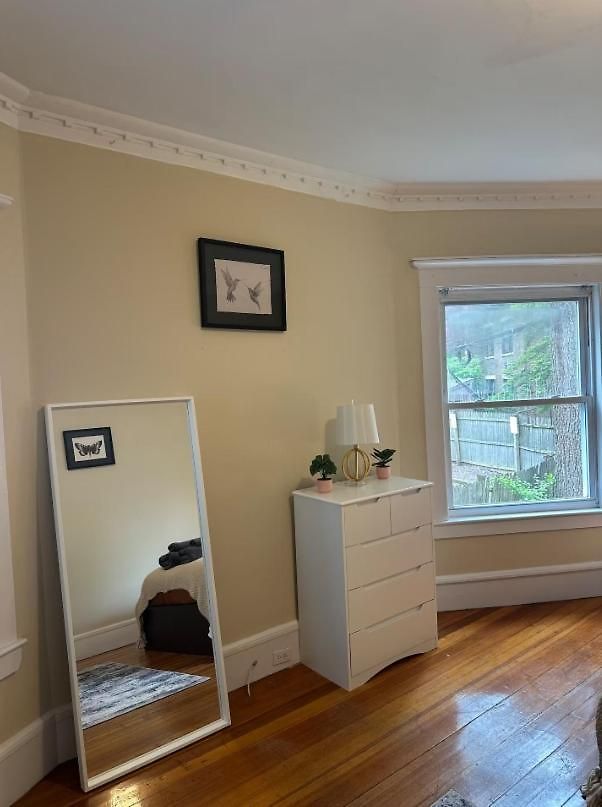 -no65- Fancy In A House - Steps To College & Line At Brighton Homestay Boston