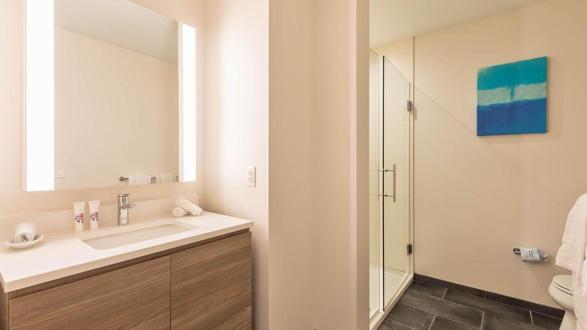 Apartment Modern In Seaport With Gym