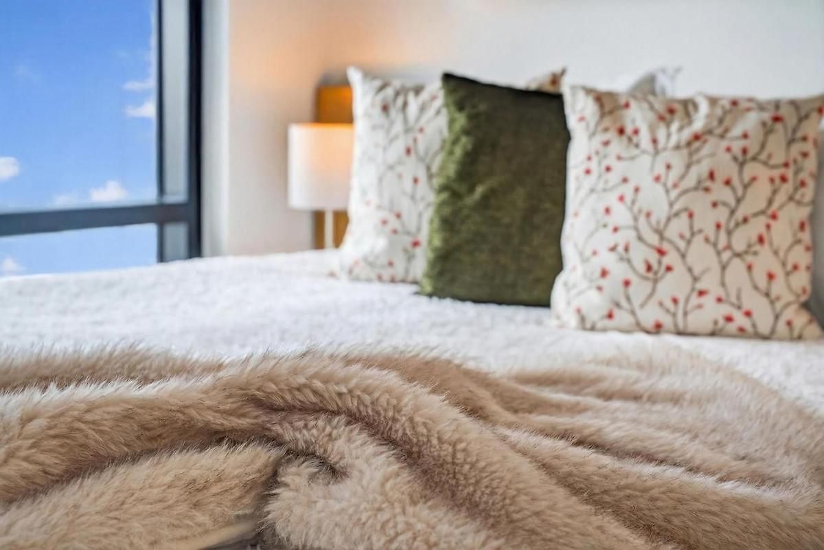 2-bedroom Lux In Seaport Next To Convention Center
