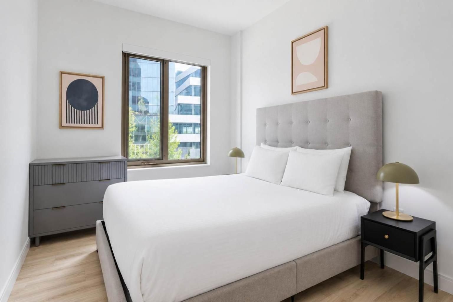 Luxury Near Harvard Business & Gym * Boston