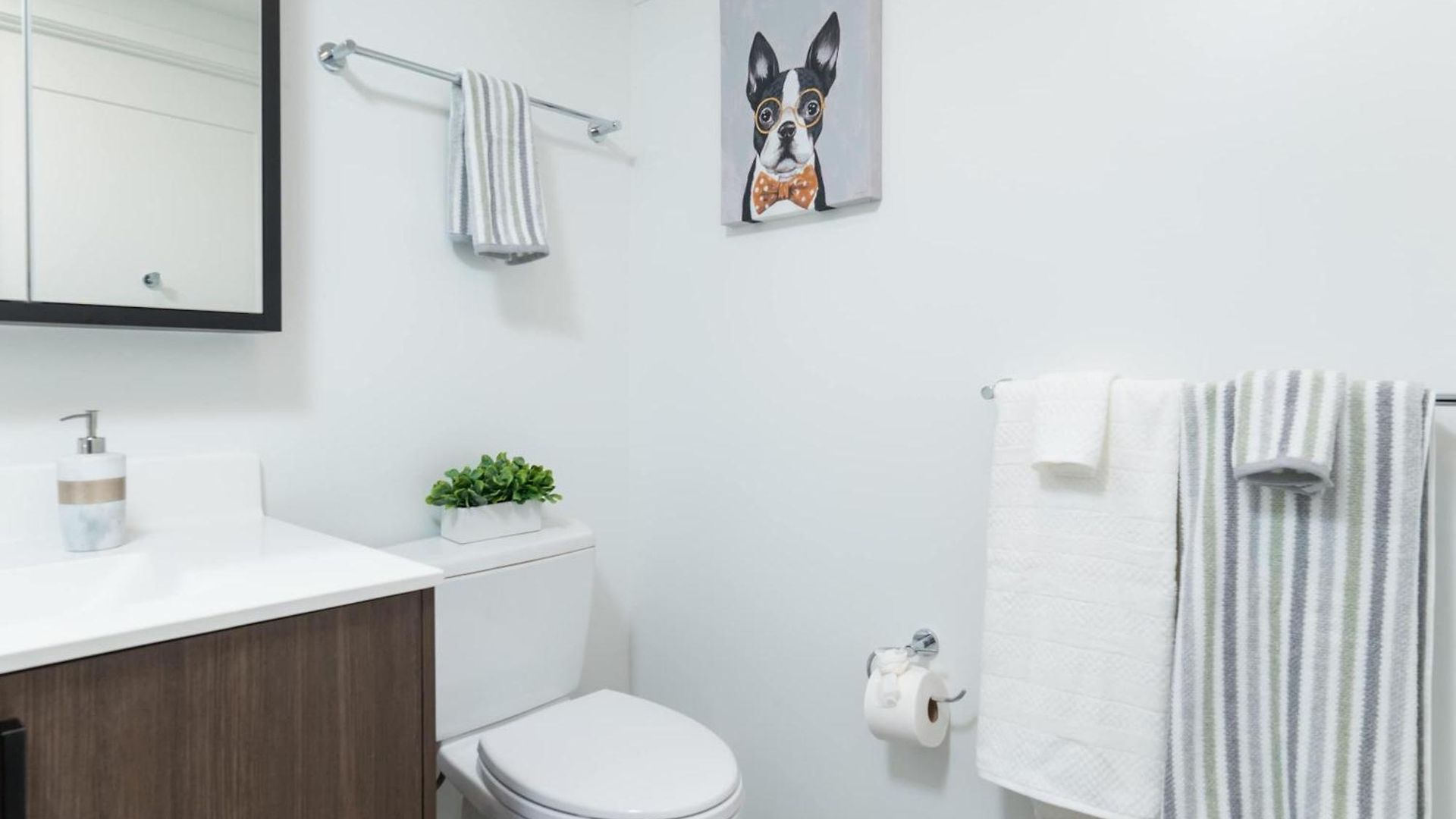 King 1br Near Harvard Gym Washer Dryer Parking Apartment *