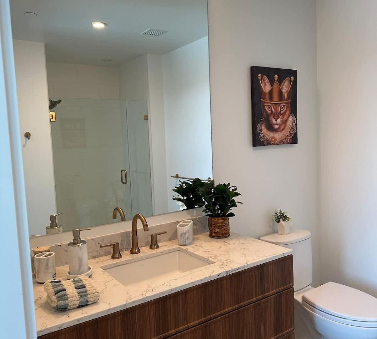 Back Bay Penthouse With Gym Parking In Unit Washer Dryer Apartment