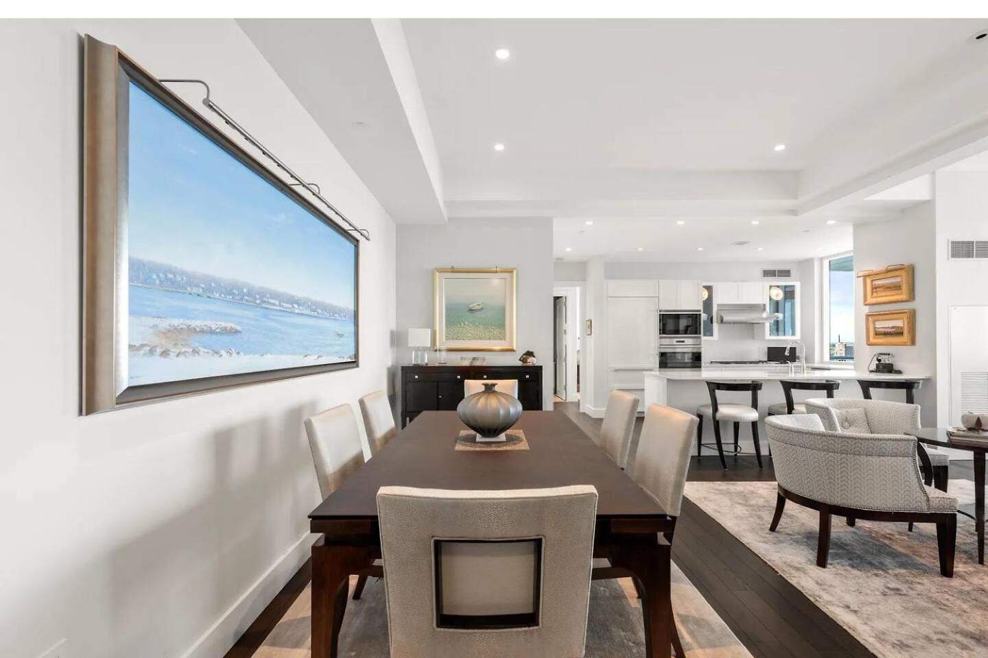 Spacious Living View Apartment Boston