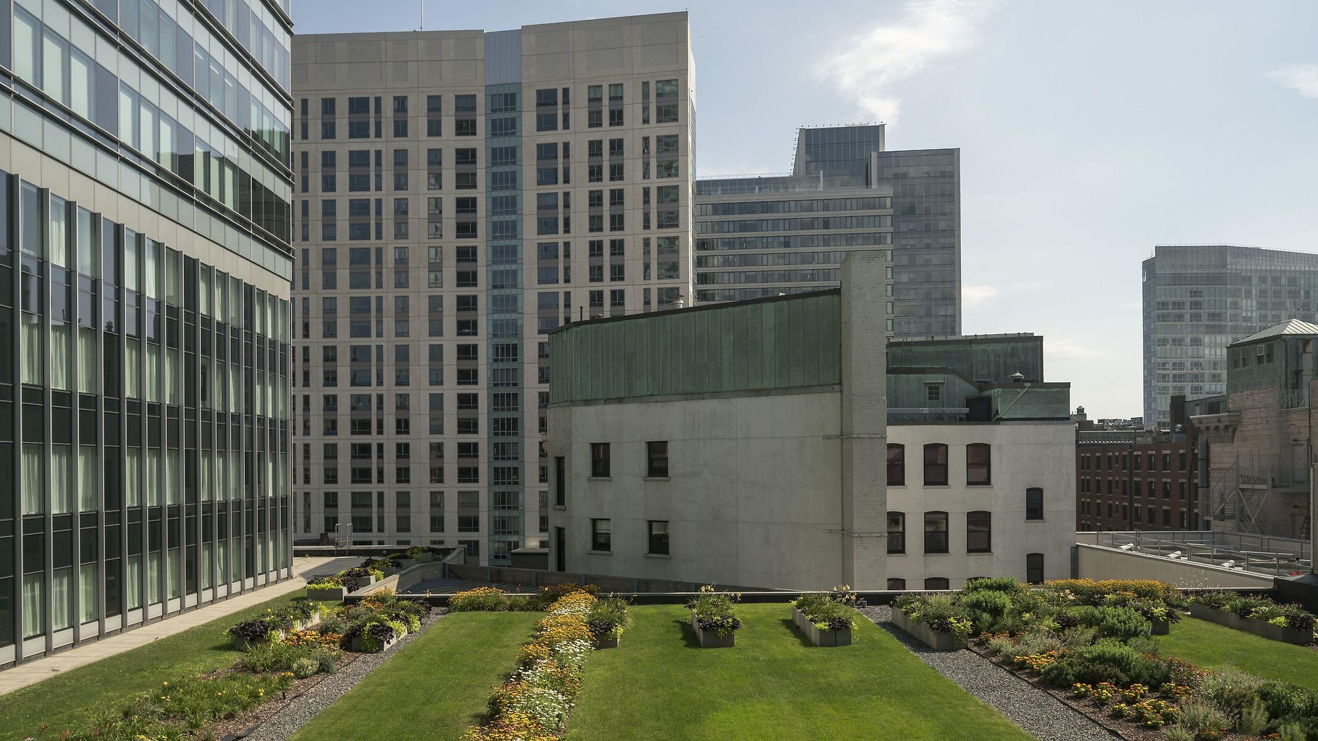 The Ritz-carlton,