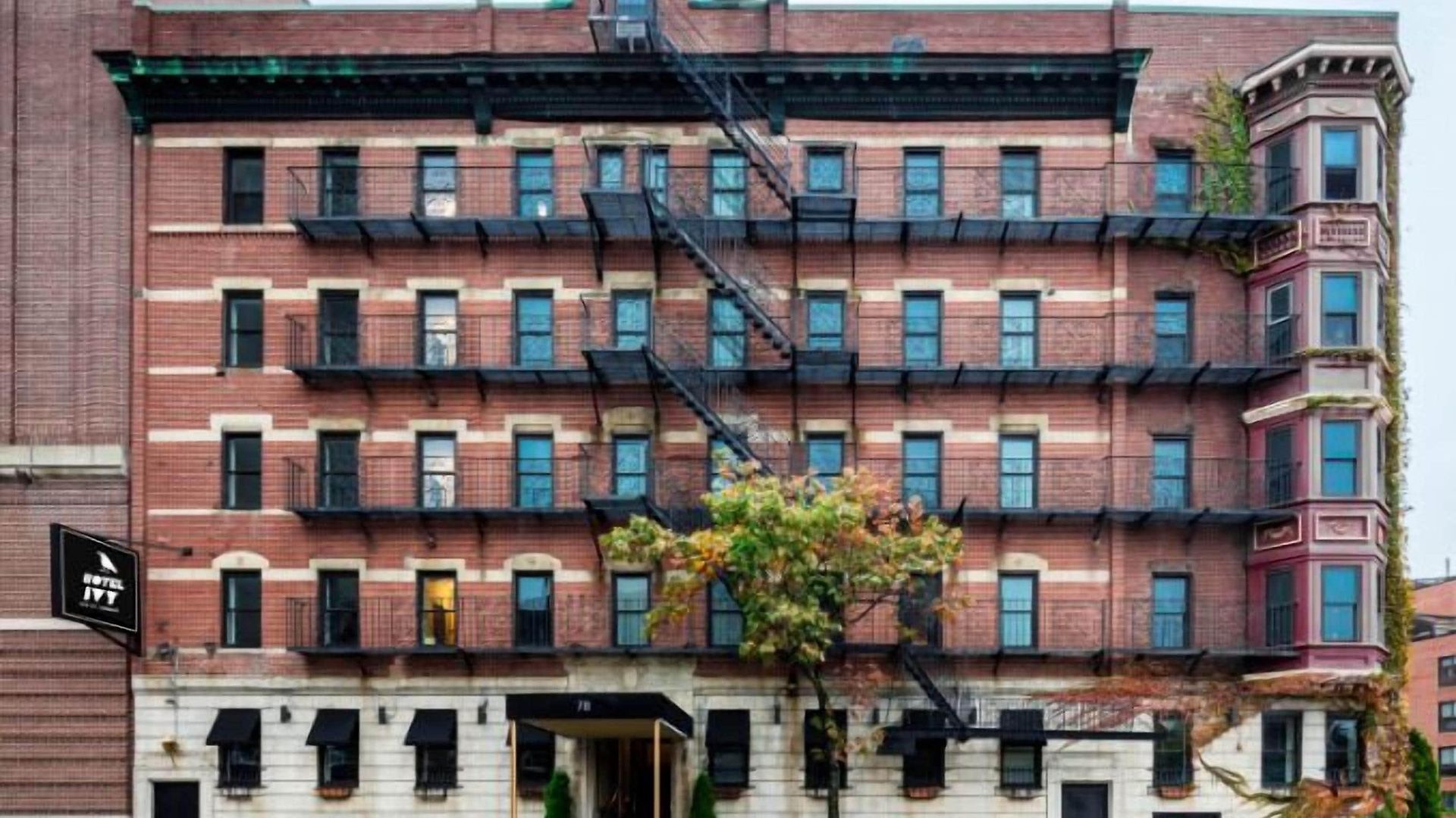 Hotel Ivy Common