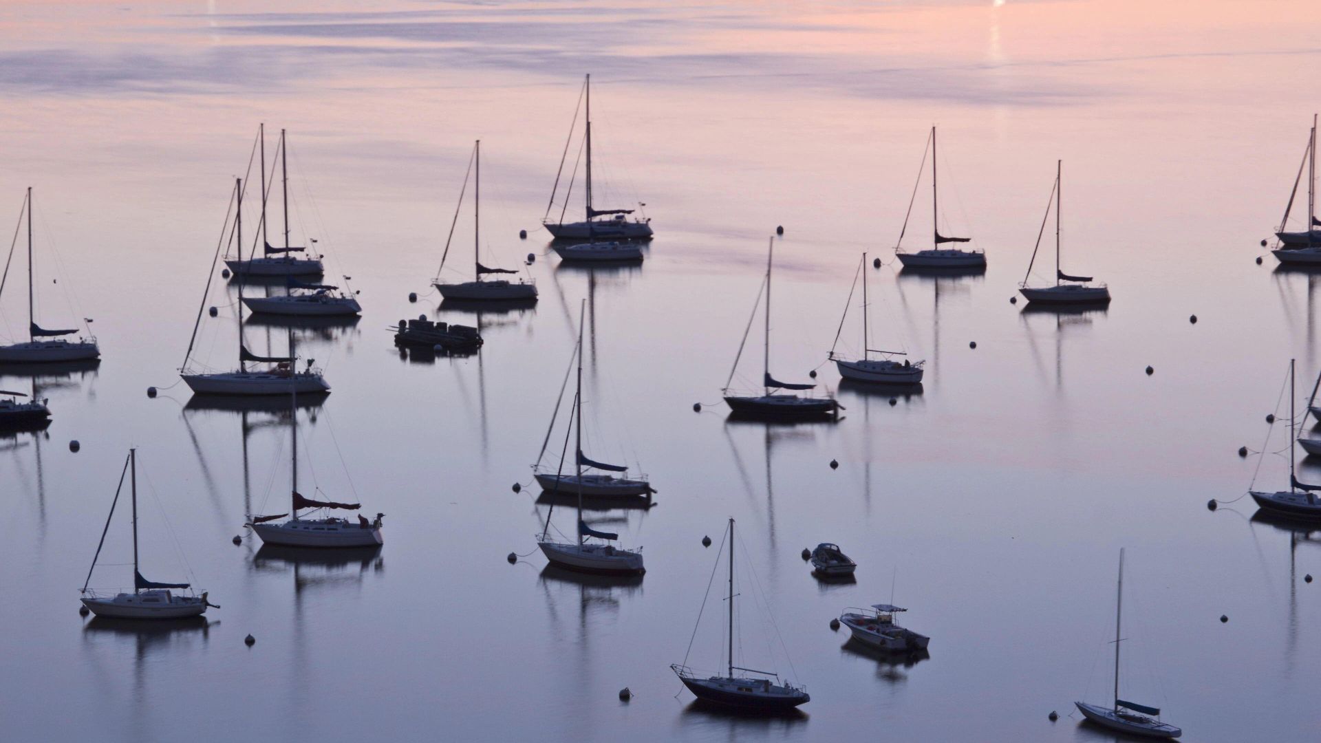 Harbor Hotel 5*