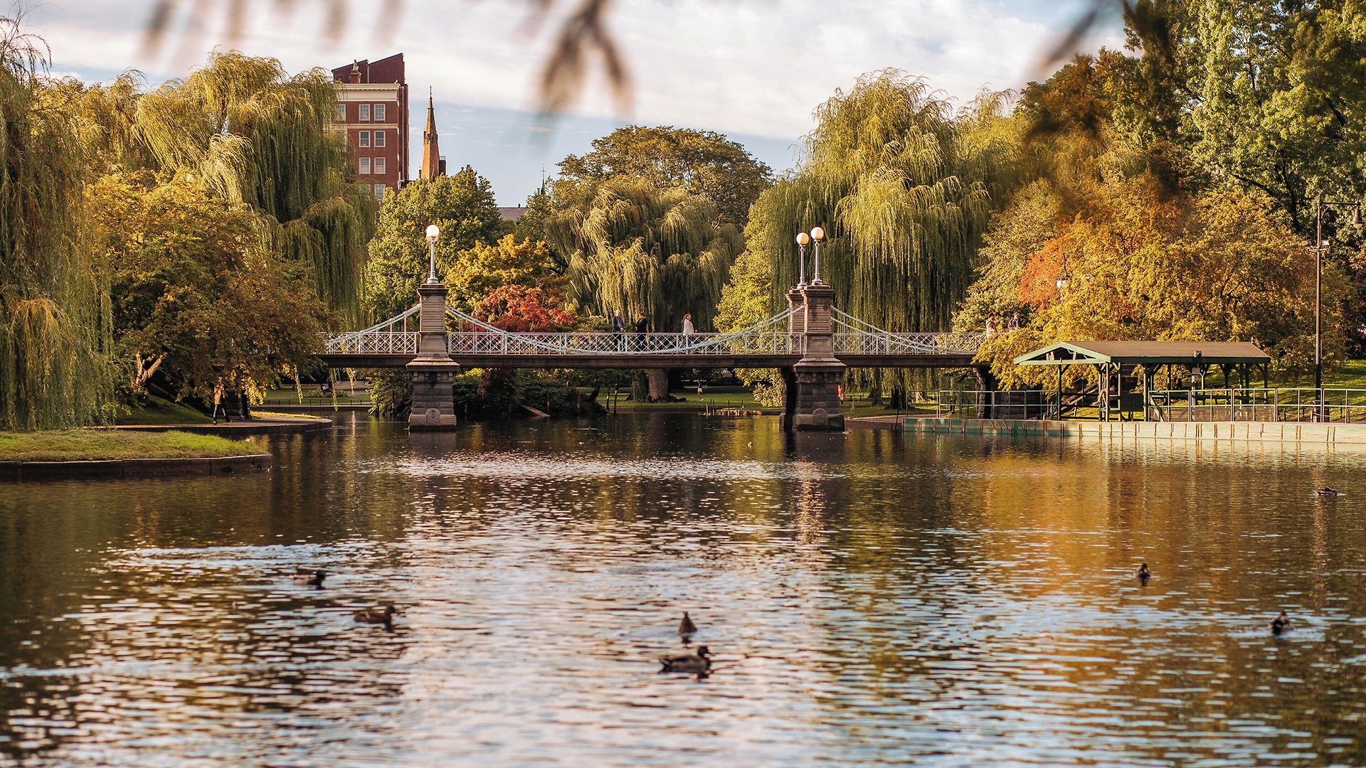 Four Seasons 5* Boston