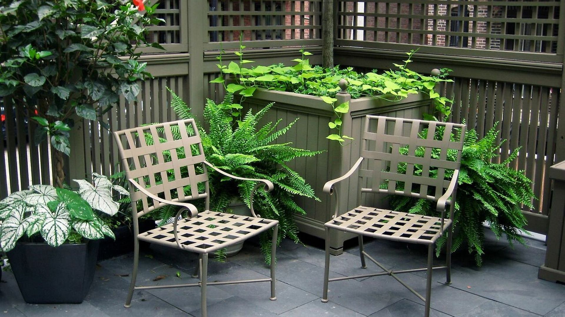 Clarendon Square Bed & Breakfast 4*