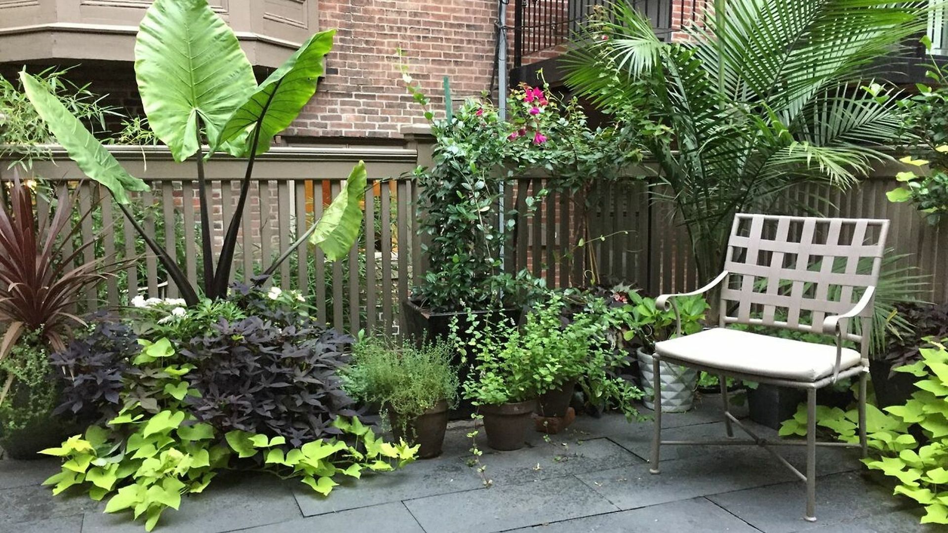 Clarendon Square 4*