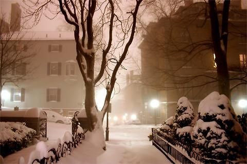 Indigo Garden By Ihg 4* Boston