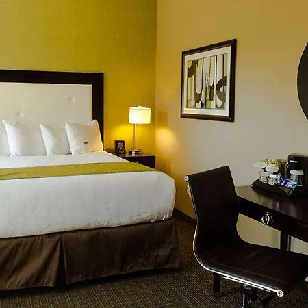 Envision Boston-longwood, Ascend Collection Hotel 3*
