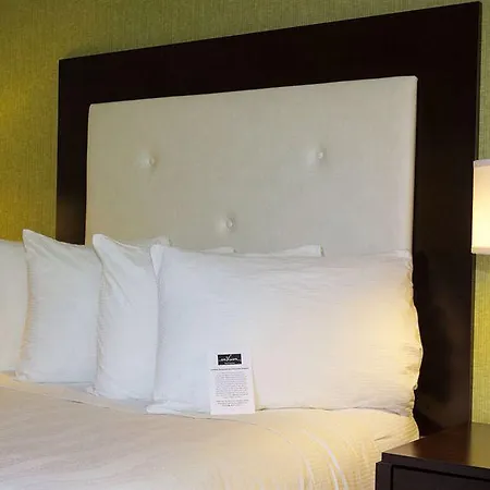 Hotel Envision Boston-longwood, Ascend Collection Boston
