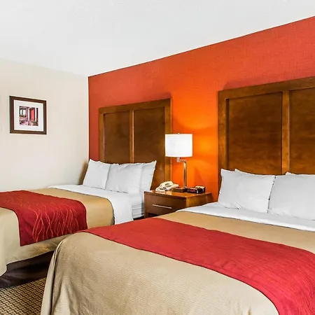 Comfort Hotel Boston