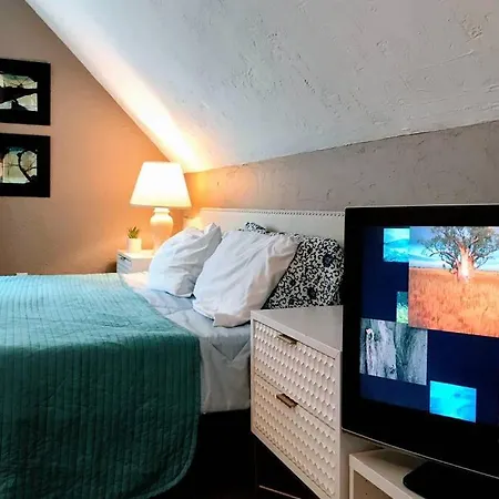 Executive Loft - Harvard Allston Campus Apartment Boston
