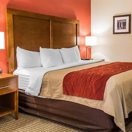 Hotel Comfort