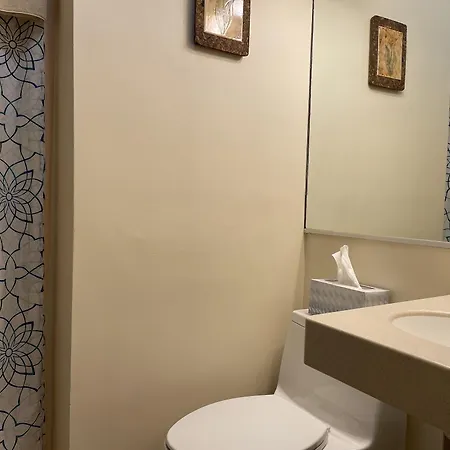 Oasis 2*