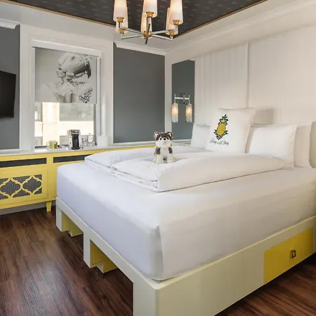 Hotel Staypineapple, A Delightful Hotel, South End 4*