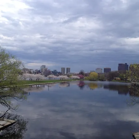 Apartment Herbivorian House Boston