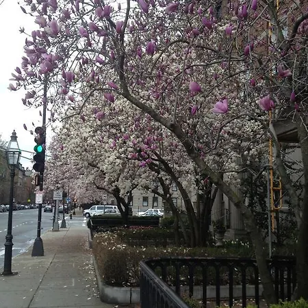 Apartment Herbivorian House Boston