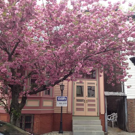 Herbivorian House Apartment Boston