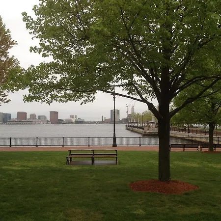 Herbivorian House Apartment Boston