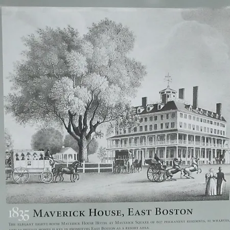 Herbivorian House Apartment Boston