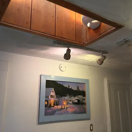 Apartment Herbivorian House Boston