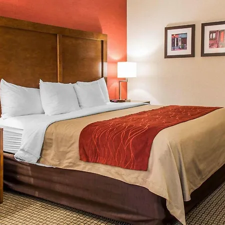 Comfort Hotel