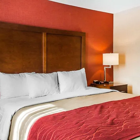 Hotel Comfort