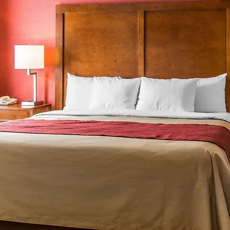 Comfort Boston