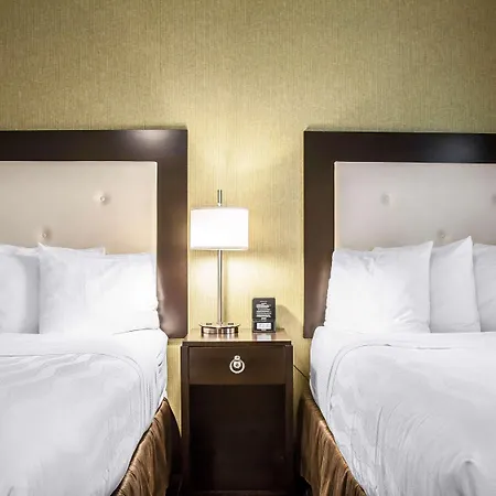 Hotel Envision Boston-longwood, Ascend Collection Boston