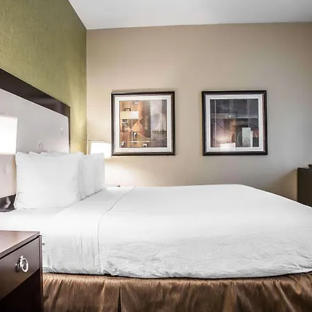 Hotel Envision Boston-longwood, Ascend Collection Boston