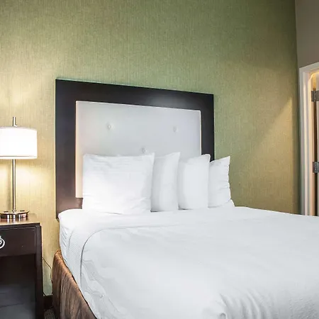 Envision Boston-longwood, Ascend Collection Hotel