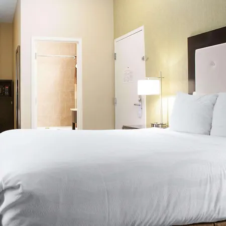 Envision Boston-longwood, Ascend Collection Hotel 3*