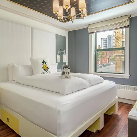 Staypineapple, A Delightful Hotel, South End Hotel 4*