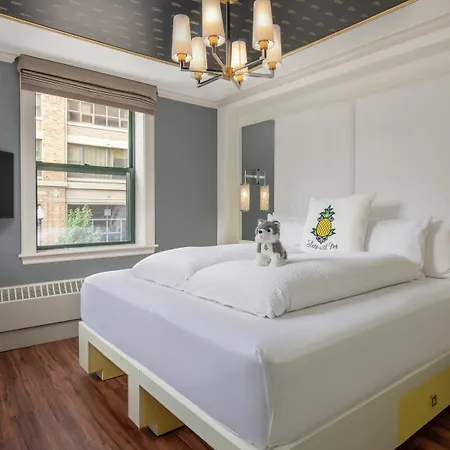 Staypineapple, A Delightful Hotel, South End Hotel Boston