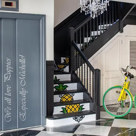 Staypineapple, A Delightful Hotel, South End Hotel 4*