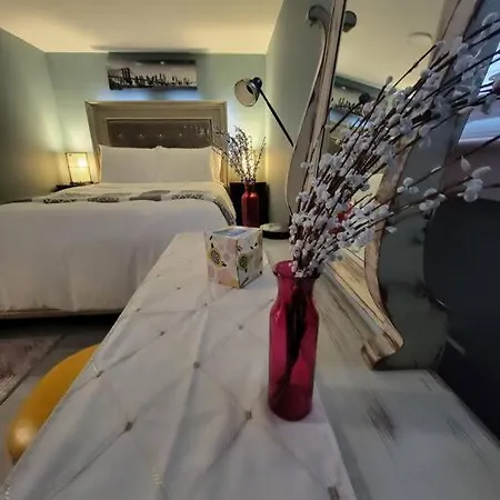 Apartment Comfy And Chic Apartment! Free Parking *