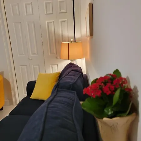 Comfy And Chic Apartment! Free Parking Apartment Boston