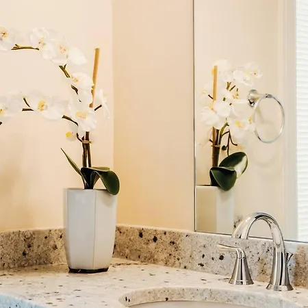 Adore - An Urban Retreat Of Luxury * Boston