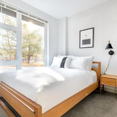 Brighton 1br W Wd Doorman Nr T Dining Bos-322 Boston