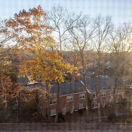 Apartment Chestnut Hill 1br W Wd Gym Nr Hancock Village Bos-803 *