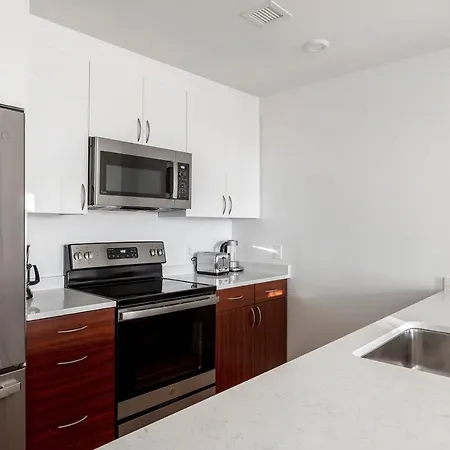 Chestnut Hill 1br W Wd Gym Nr Hancock Village Bos-803 Apartment Boston