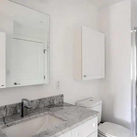 Apartment Chestnut Hill 1br W Wd Gym Nr Hancock Village Bos-803