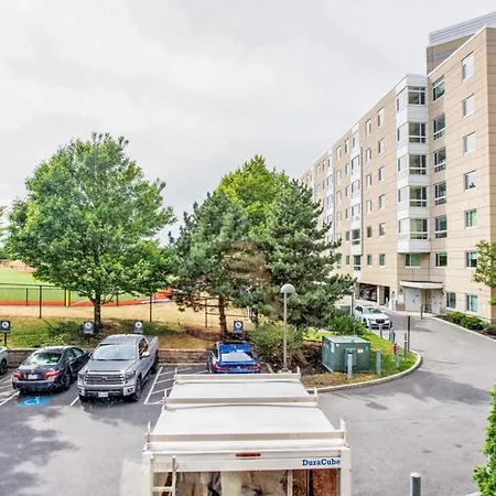 Apartment Dorchester 1br W Gym Pool Nr Jfkumass T Bos-748