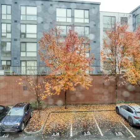 Allston 1br W Gym Wd Nr Griggs T Bos-789 Apartment
