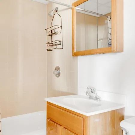 Allston 1br W Wd Nr Bu Packards Corner Bos-597 Boston