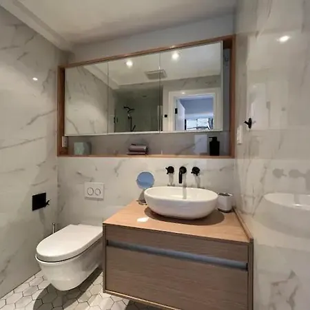 Luxurious Brighton Manor Boston