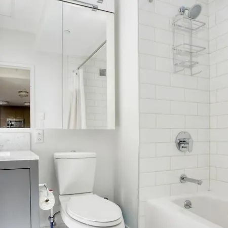Gorgeous Back Bay 1br W Wd Gym Bos-686 Apartment *