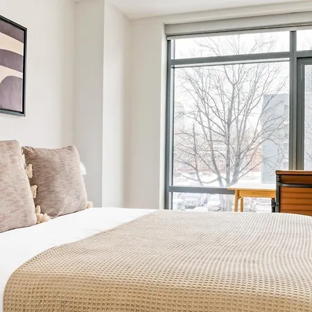 Apartment Newco S End 1br Nr Ink Block W Wd Gym Bos-548 *